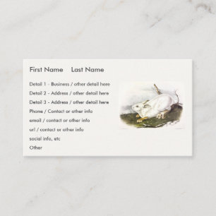Snowshoe Hare, winter (Northern Hare) by Audubon Business Card