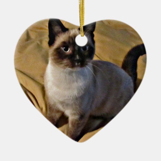 Snowshoe Kitten Gifts Ceramic Tree Decoration (Front)