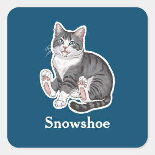Snowshoe Square Sticker