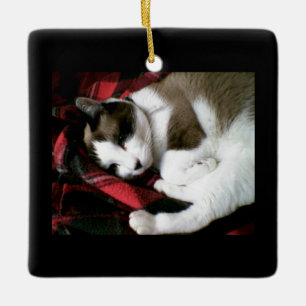 snowshoe tartan kitty ceramic tree decoration