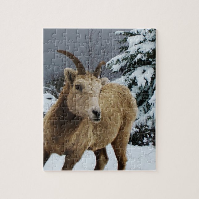 Snowy Animal 8x10 Photo Puzzle (Vertical)