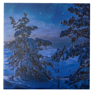 Snowy Baltic sea coast with fir tree in night Ceramic Tile