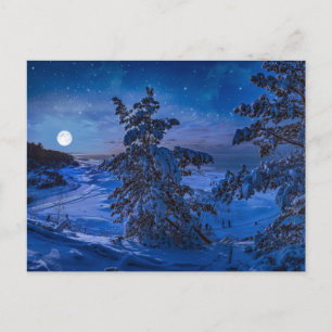 Snowy Baltic sea coast with fir tree in night Postcard