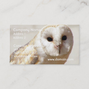 Snowy Barn Owl Business Cards