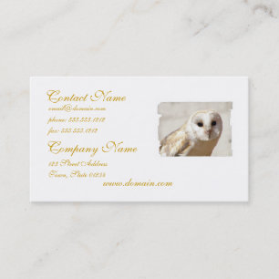 Snowy Barn Owl Business Cards