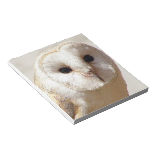 Snowy Barn Owl  Notepad (Angled)