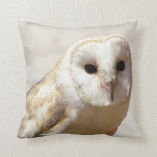 Snowy Barn Owl  Pillow