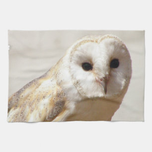 Snowy Barn Owl Towel