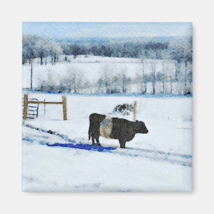 Snowy Belted Galloway Cow in Snow Watercolor Magnet