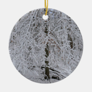 Snowy Birch Tree Canopy Ceramic Ornament