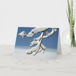 Snowy Branch Against a Blue Sky Greeting Card