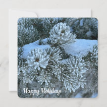 Snowy Branches - Flat Holiday Card