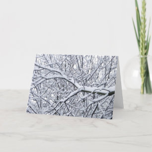 Snowy Branches Holiday Card