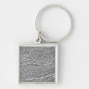 Snowy Branches Key Ring