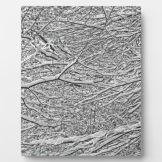Snowy Branches Plaque