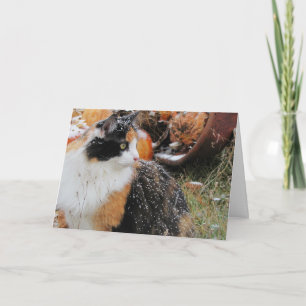 Snowy Calico Cat add your text Holiday Card