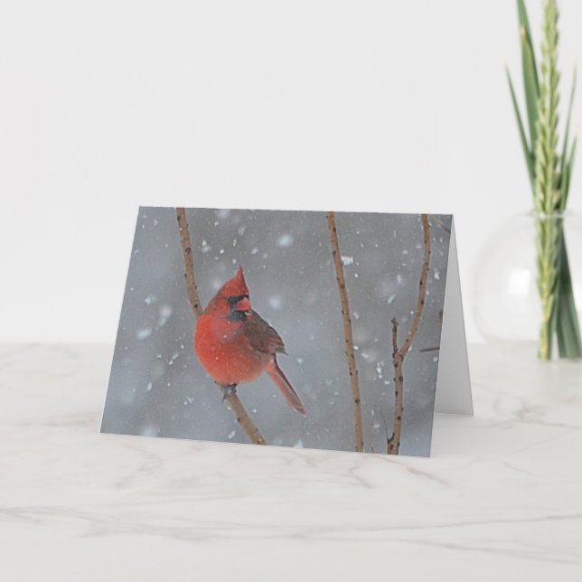 Snowy Cardinal Christmas Card (Front)