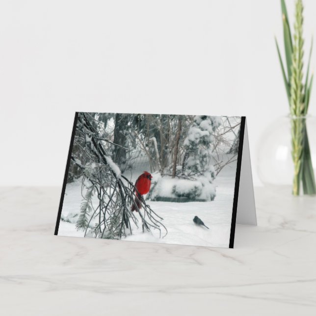 Snowy Cardinal Christmas Card (Front)