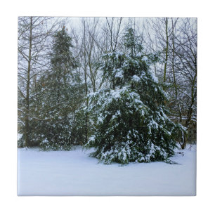 Snowy Cedars Ceramic Tile