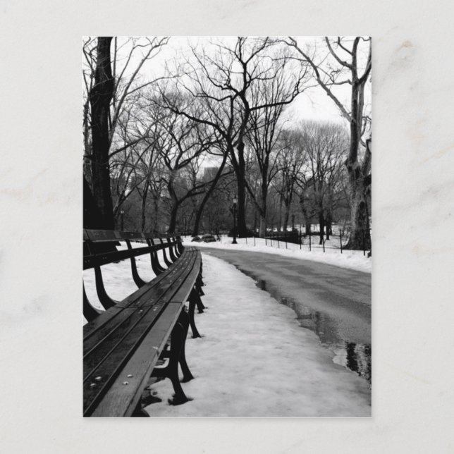 Snowy Central Park Postcard (Front)