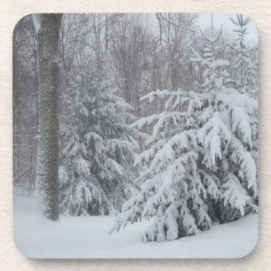 Snowy Coaster