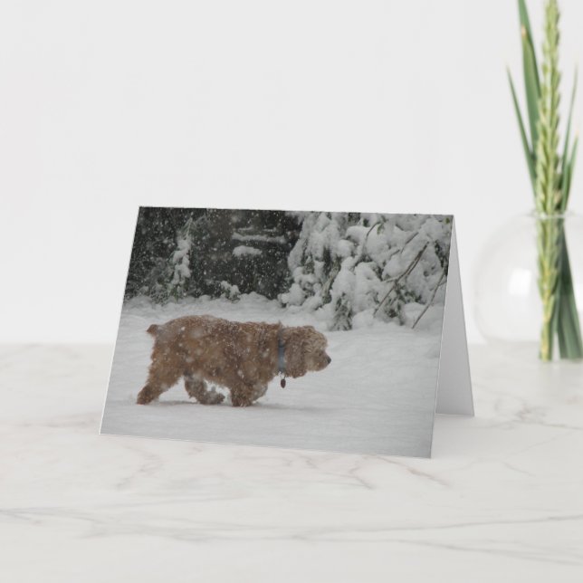 Snowy Cocker Spaniel Holiday Card (Front)