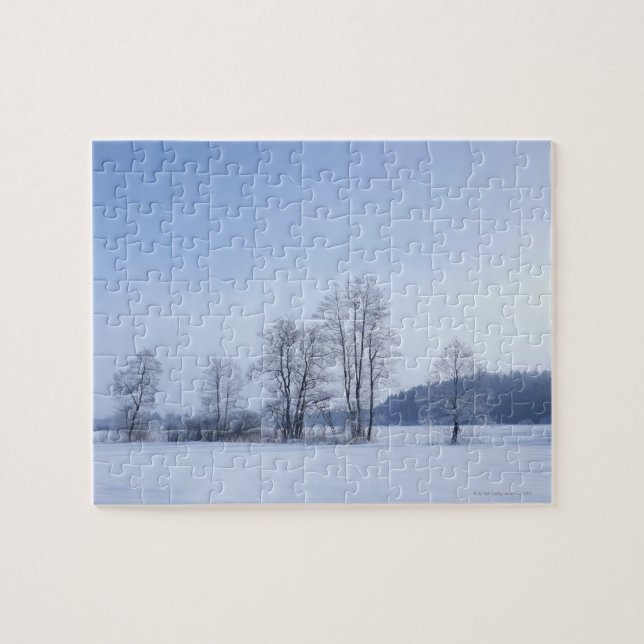 Snowy cold winter landscape 10 jigsaw puzzle (Horizontal)