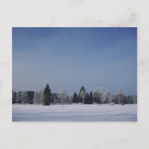 Snowy cold winter landscape 12 postcard