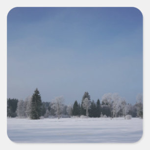 Snowy cold winter landscape 12 square sticker