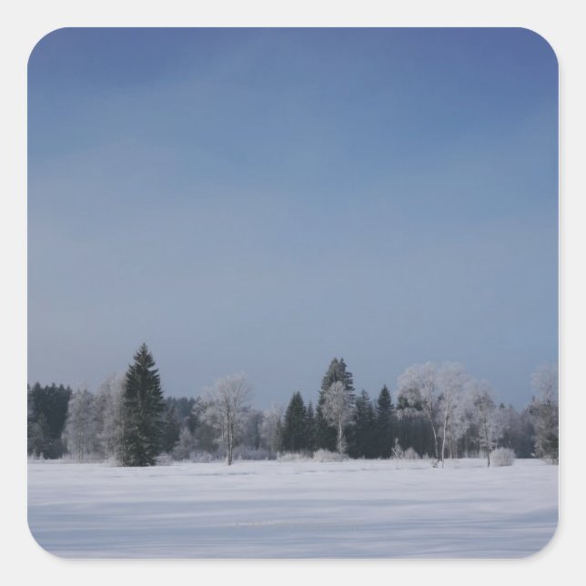 Snowy cold winter landscape 12 square sticker (Front)