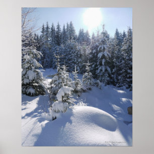 Snowy cold winter landscape 2 poster