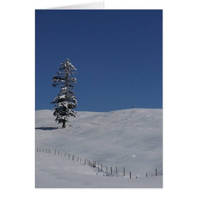 Snowy cold winter landscape 4 (Front)