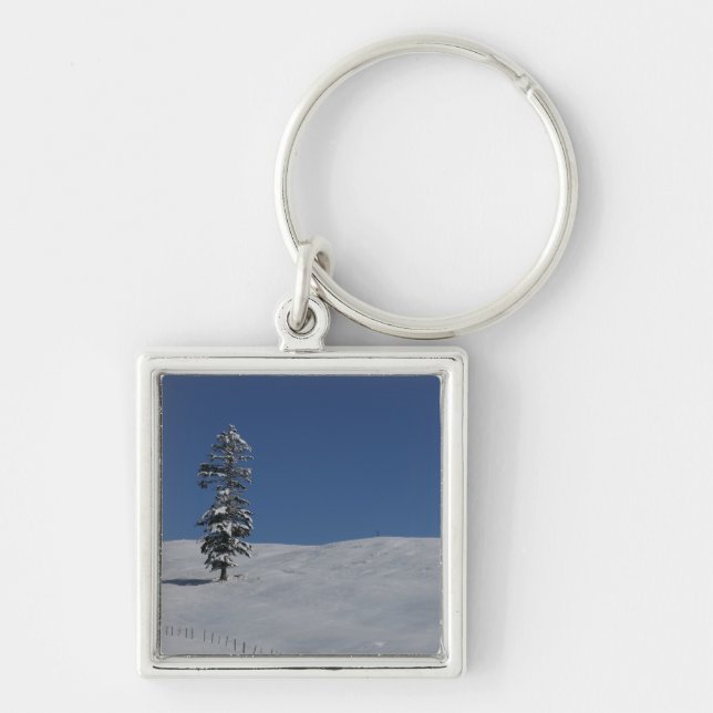 Snowy cold winter landscape 4 key ring (Front)