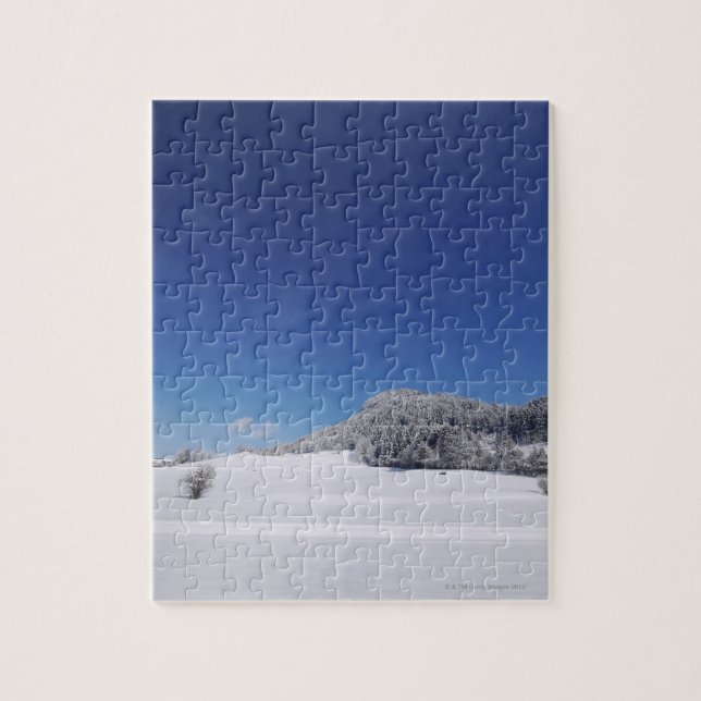 Snowy cold winter landscape 6 jigsaw puzzle (Vertical)