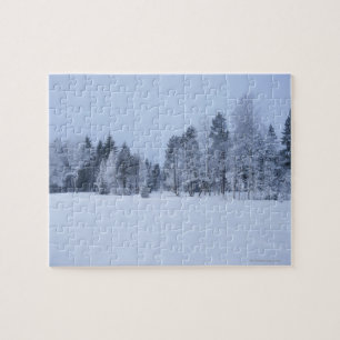 Snowy cold winter landscape 8 jigsaw puzzle