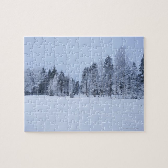 Snowy cold winter landscape 8 jigsaw puzzle (Horizontal)