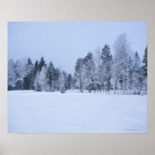 Snowy cold winter landscape 8 poster