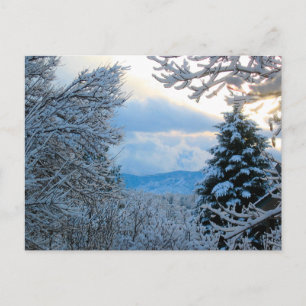 Snowy Colorado Postcard