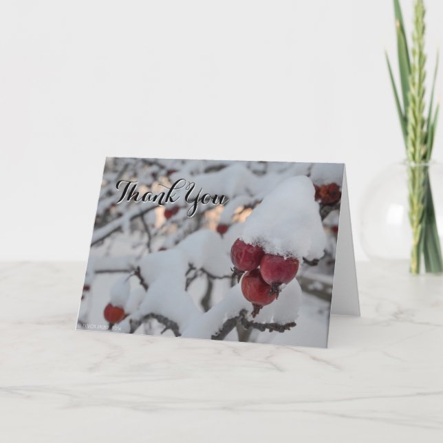 Snowy Crab Apple Thank You Card (Front)