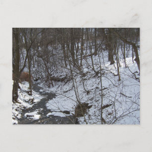 Snowy creek postcard