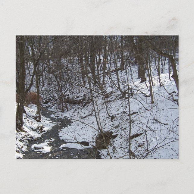 Snowy creek postcard (Front)