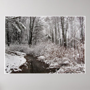 Snowy Creek Poster