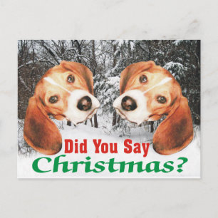 Snowy Did You Say Christmas? Beagle Post Card