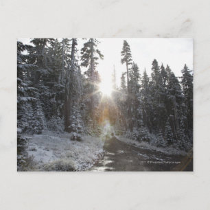 Snowy dirt road going into the sun postcard