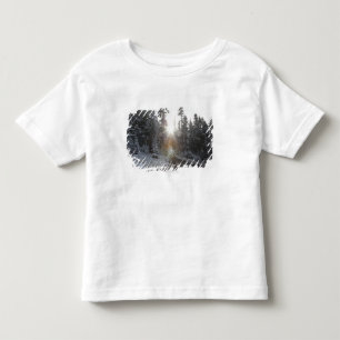 Snowy dirt road going into the sun toddler T-Shirt
