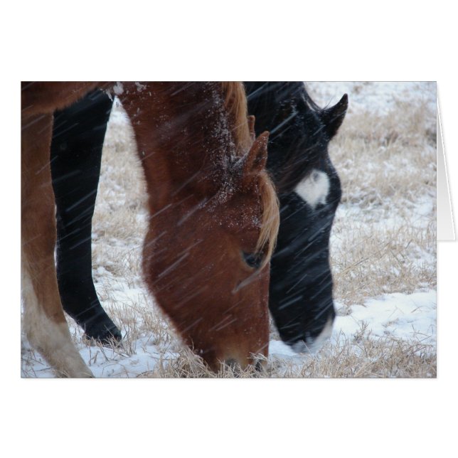 Snowy Eats (Front Horizontal)