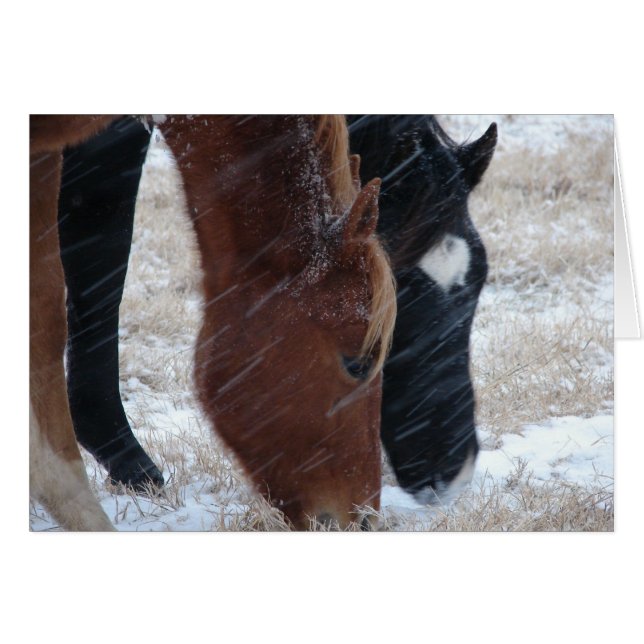 Snowy Eats (Front Horizontal)