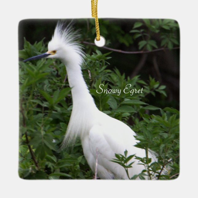 Snowy Egret Bird Ornament  (Front)
