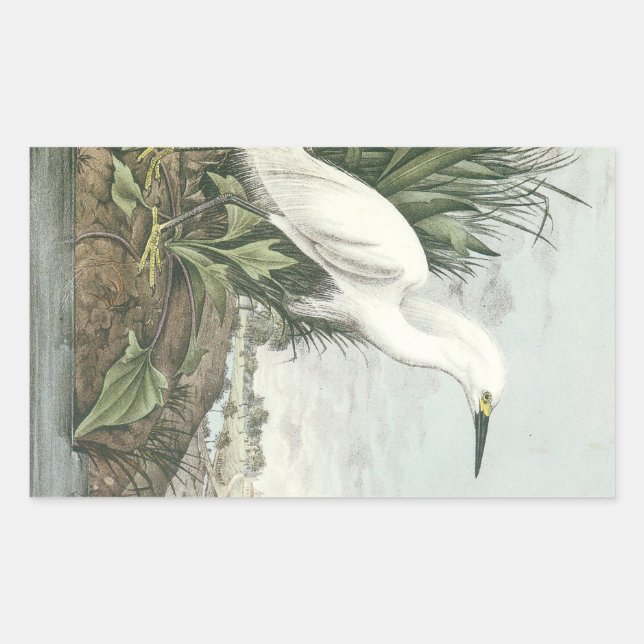 Snowy Egret by Audubon Rectangular Sticker (Front)