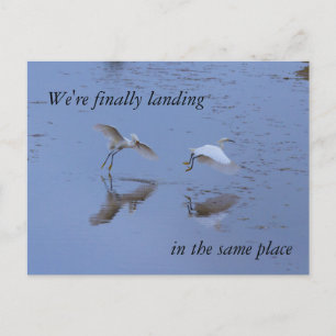 Snowy Egret Heron Moving in Together New Address Announcement Postcard